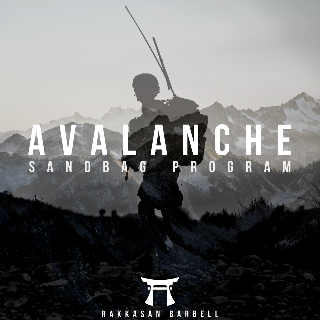 Avalanche Sandbag Program PDF