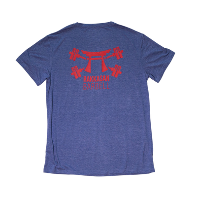 Torii Triblend T Shirt